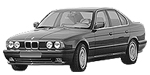 BMW E34 P0A1B Fault Code